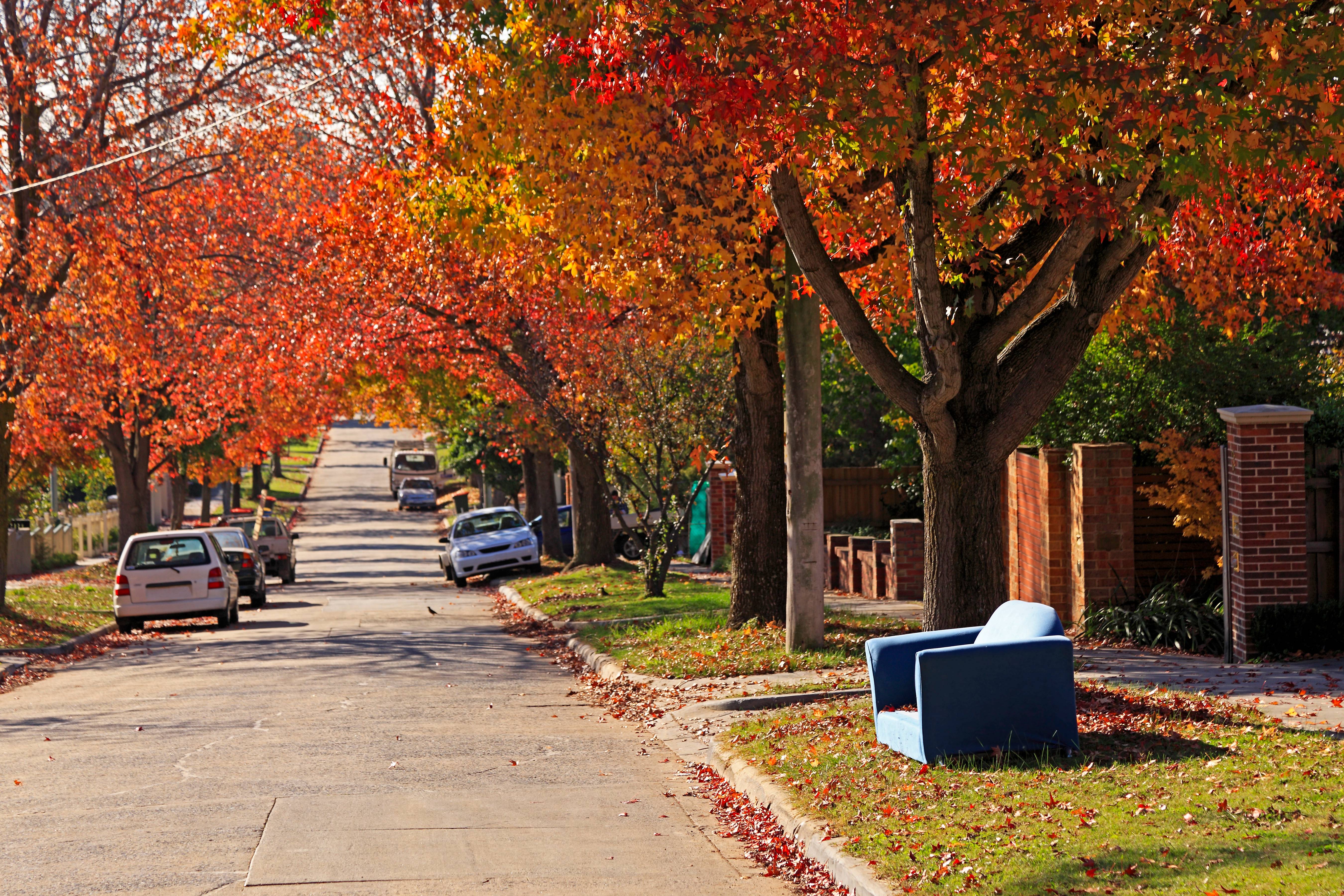 autumn lounge chair Hero